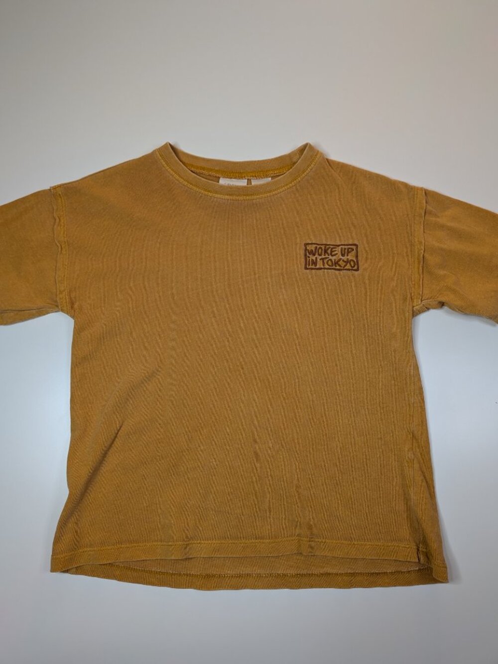 Zara Boys Woke Up in Tokyo Embroidered T-Shirt Mustard Brown Size 4-5